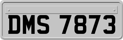 DMS7873