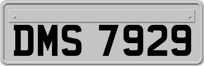 DMS7929