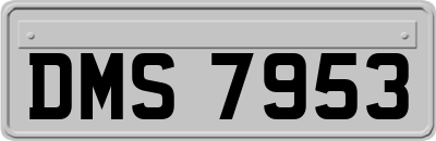 DMS7953