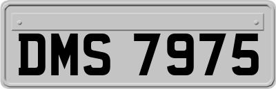 DMS7975