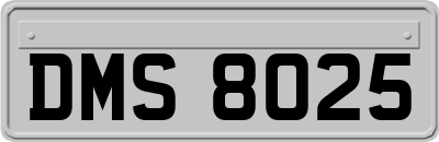 DMS8025