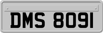 DMS8091