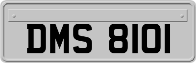 DMS8101