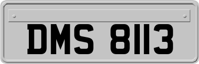 DMS8113