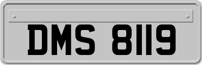 DMS8119