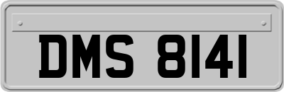 DMS8141