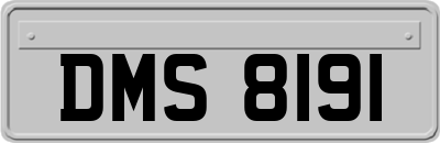 DMS8191