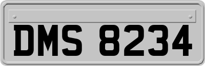 DMS8234