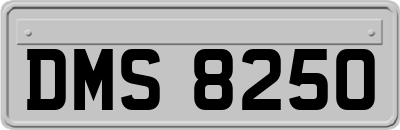 DMS8250