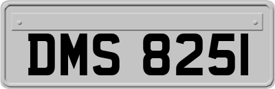 DMS8251