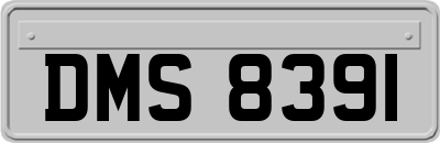 DMS8391