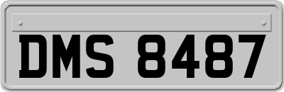 DMS8487