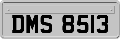DMS8513