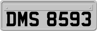 DMS8593