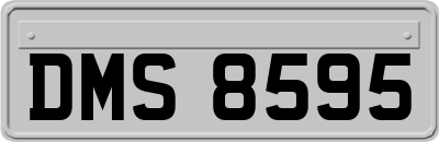 DMS8595
