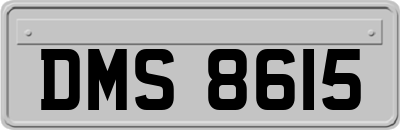 DMS8615