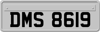 DMS8619