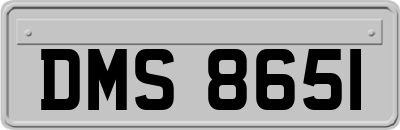 DMS8651