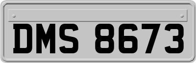 DMS8673