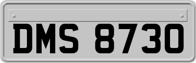 DMS8730