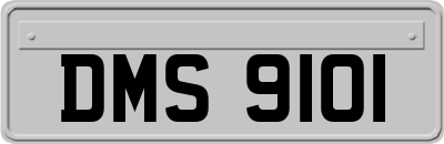 DMS9101