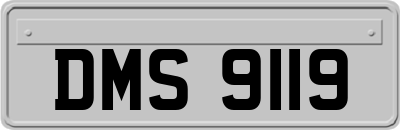 DMS9119