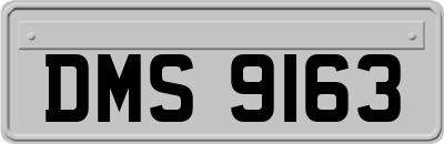 DMS9163
