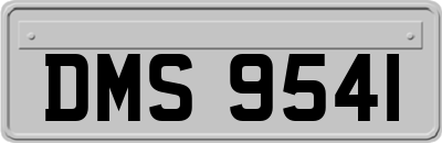 DMS9541