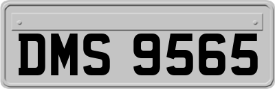 DMS9565