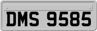 DMS9585