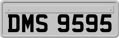 DMS9595