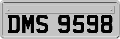 DMS9598