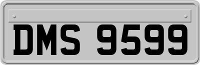 DMS9599