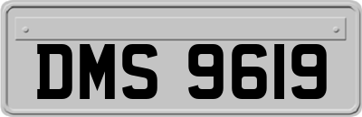 DMS9619