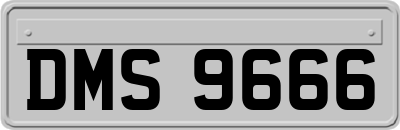 DMS9666