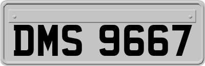 DMS9667