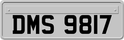 DMS9817