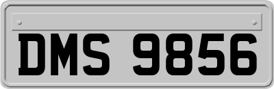 DMS9856