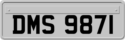 DMS9871