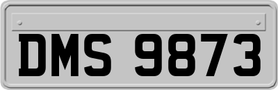 DMS9873
