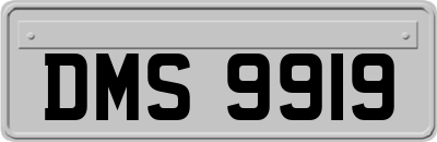 DMS9919