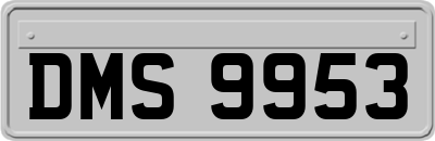 DMS9953