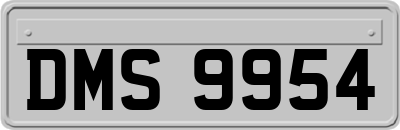 DMS9954