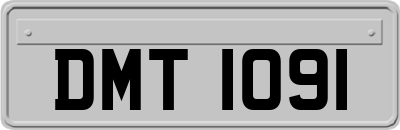 DMT1091