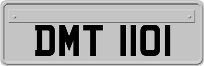 DMT1101