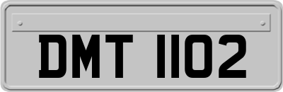 DMT1102