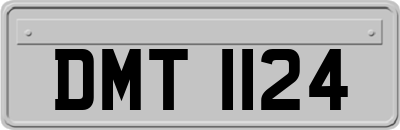 DMT1124