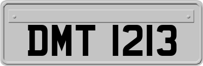 DMT1213