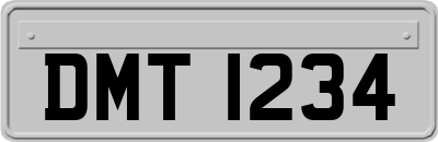 DMT1234