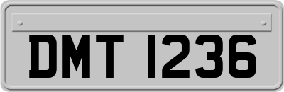 DMT1236